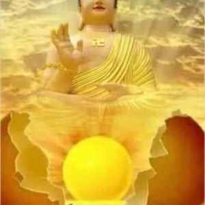 Meet your Posher, Hieu